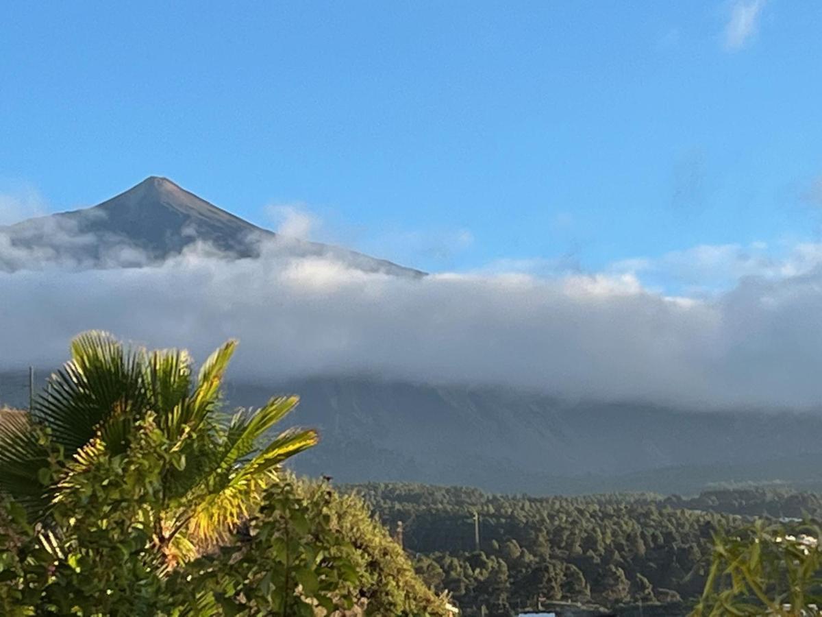 Pajar - Finca Tabaiba By Tor Icod De Los Vinos Eksteriør bilde